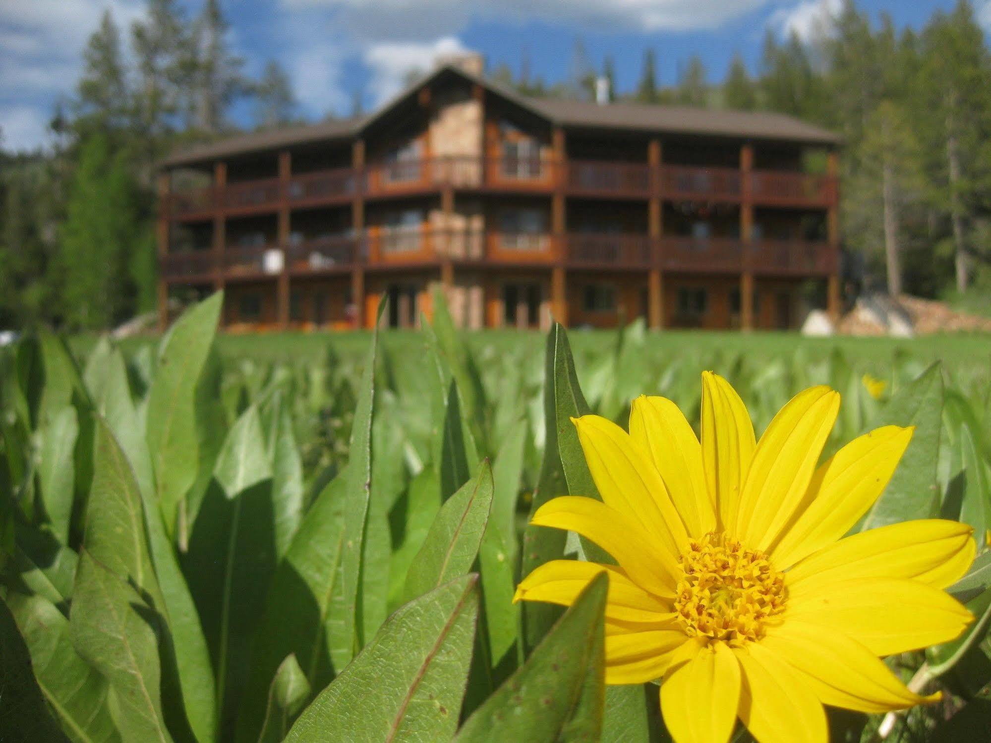 Beaver Creek Lodge Logan Bagian luar foto